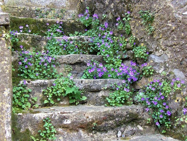 Paysages -Printemps -Eté