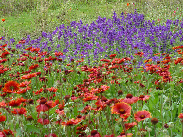 Couleurs et parfums d'Automne