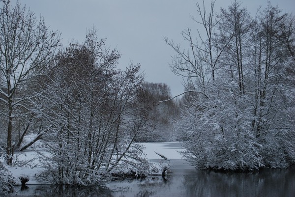 Paysages d'hiver