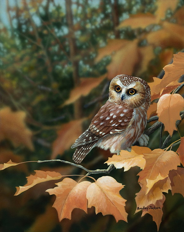 Superbe peinture d'oiseaux de Bradley Jackson