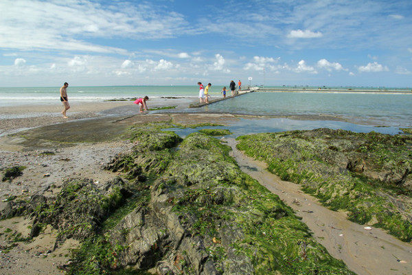 Plage de Basse Normandie (Manche)