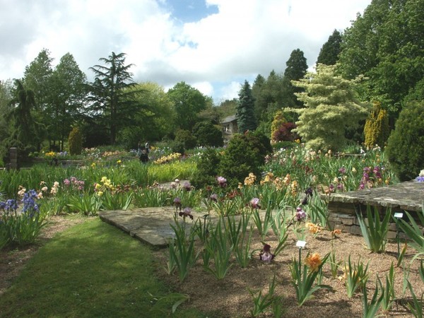 Jardin au printemps