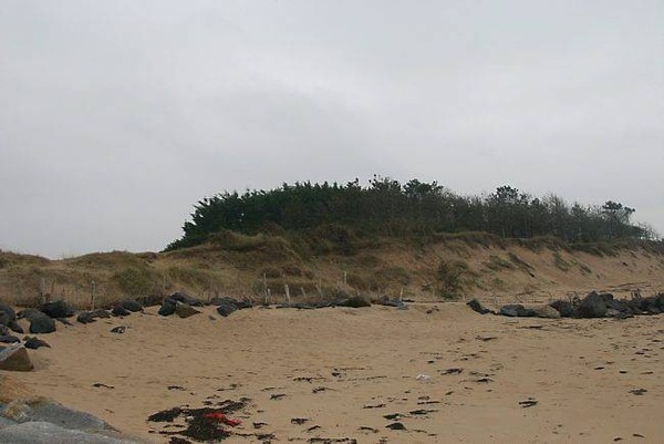 Plage de Basse Normandie (Manche)