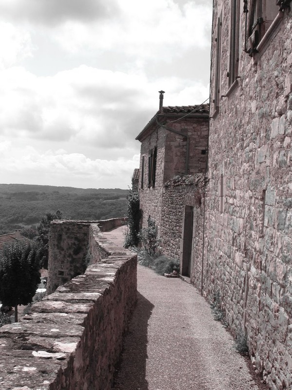 Beau village de Puycelsi