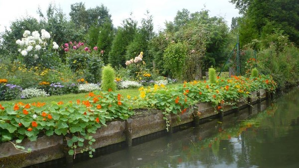 Amiens -Les hortillonnages