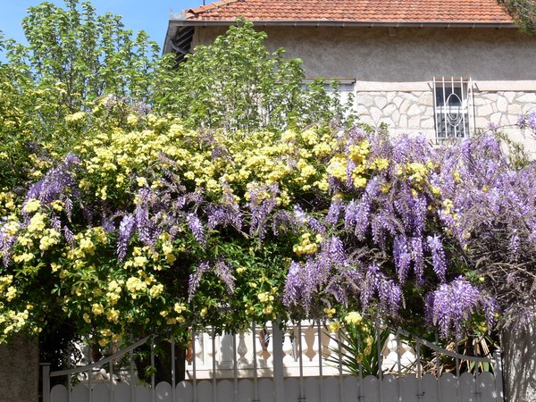 Paysages -Printemps -Eté