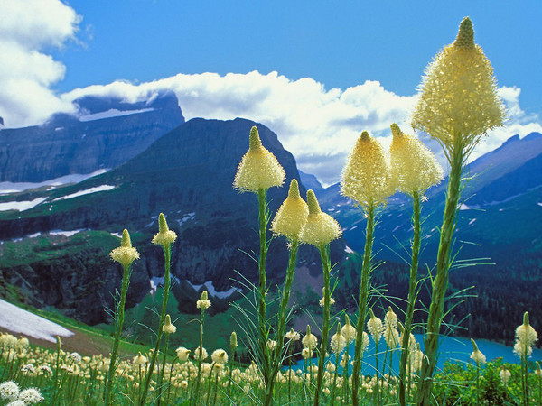 Paysages -Printemps -Eté