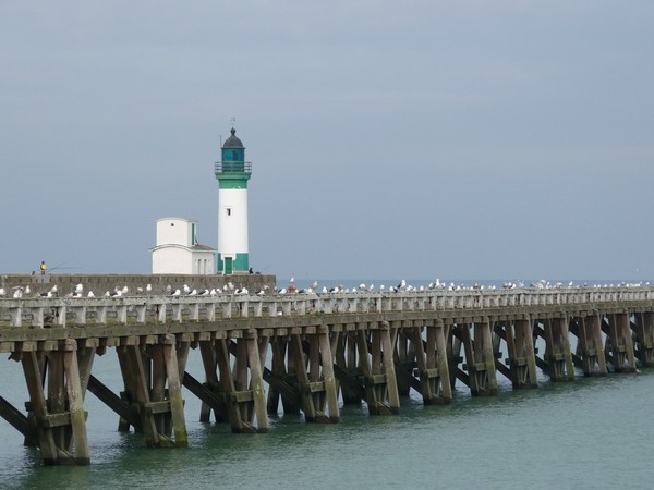 Plage de Haute Normandie