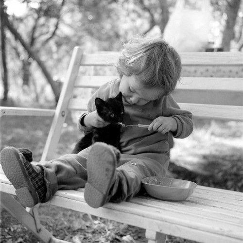 Enfant et leur animal