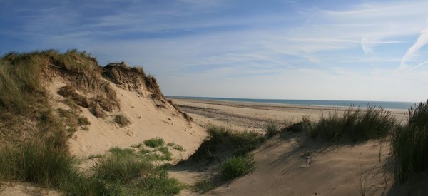 Plage de Basse Normandie (Manche)