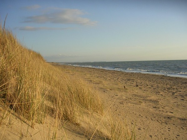 Plage de Basse Normandie (Manche)