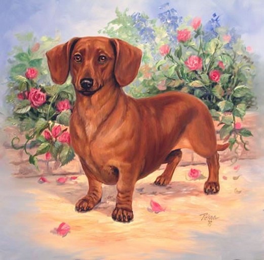  Animaux de Linda Picken (chien)