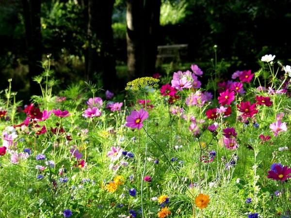 Paysages -Printemps -Eté