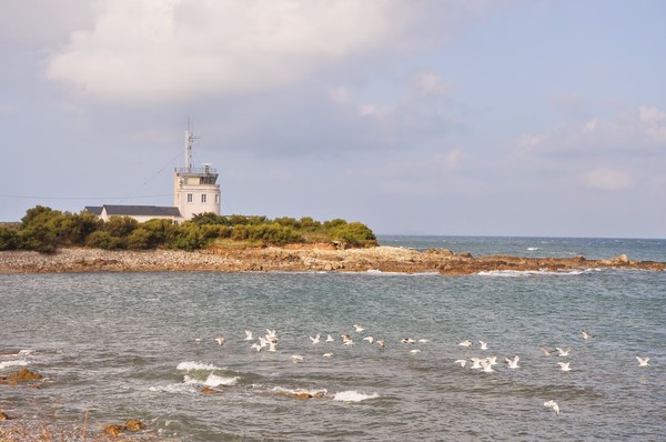 Plage de Basse Normandie (Manche)