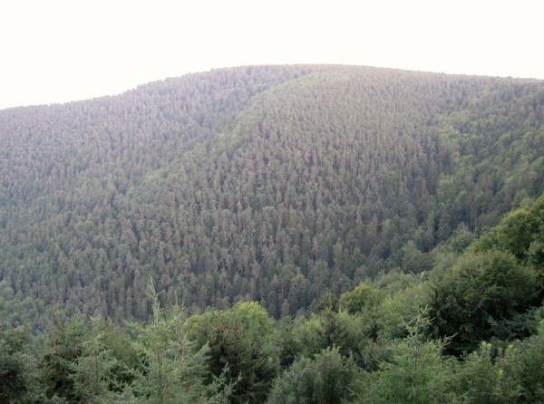 Le  Mont Sainte Odile - Pélerinage 2012