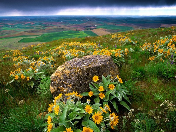 Paysages -Printemps -Eté