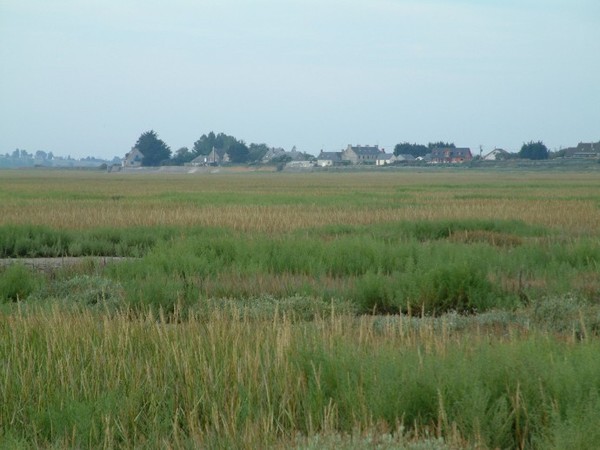 Plage de Basse Normandie (Manche)