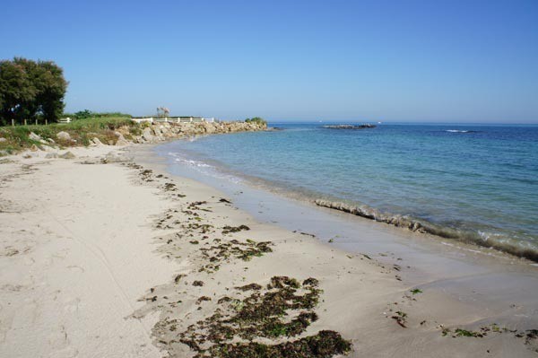 Plage de Basse Normandie (Manche)