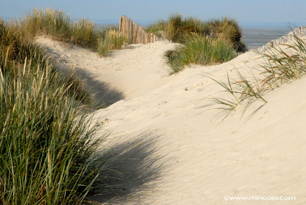 Plage de Picardie