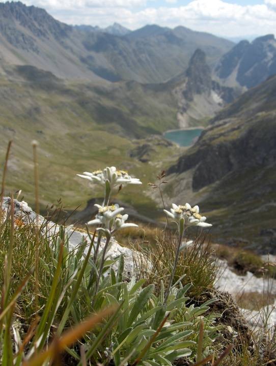 Paysages -Printemps -Eté