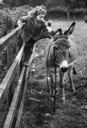 Le temps de l'innocence