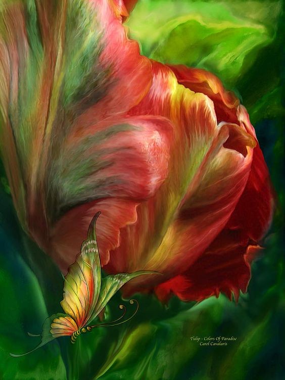 Fleurs de Carol Cavalaris