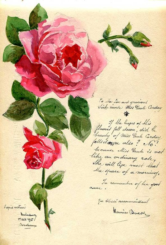 Carte ancienne - Fleur