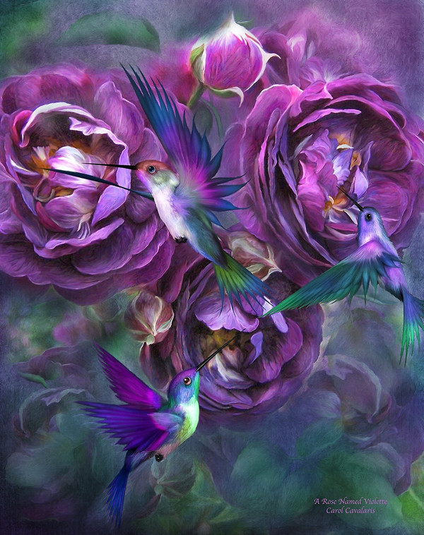 Fleurs de Carol Cavalaris