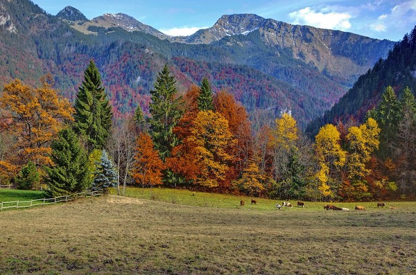 Paysage d'automne