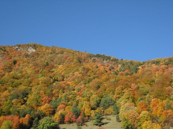 Paysage d'automne