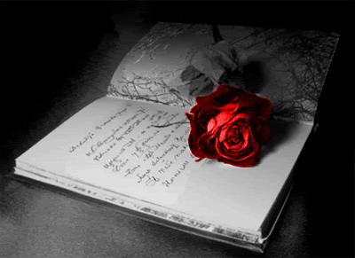 livre+rose
