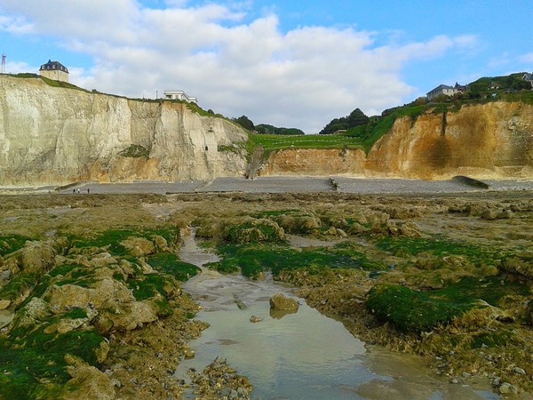 Plage de Picardie