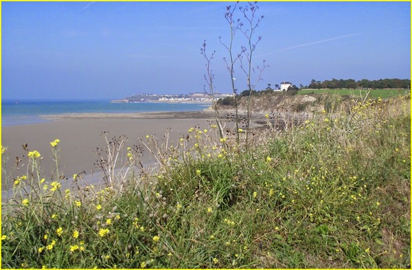 Plage de Basse Normandie (Manche)