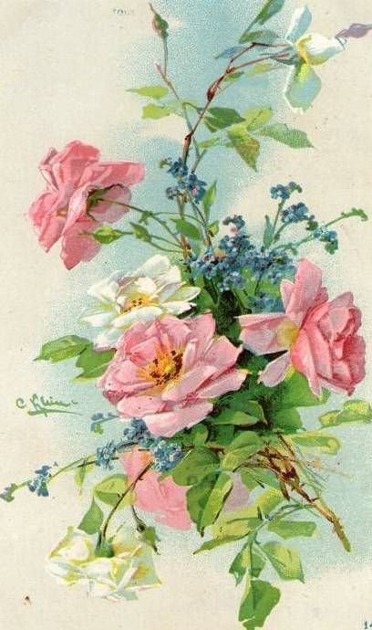 Fleurs de Catherine Klein