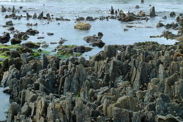 Plage de Basse Normandie (Manche)