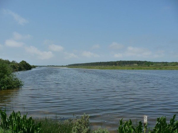 Plage de Picardie