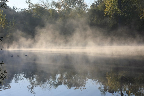 Paysage d'automne