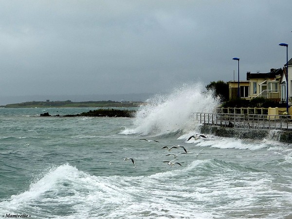 Plage de Basse Normandie (Manche)