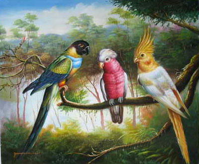 Superbe peintures d'oiseaux