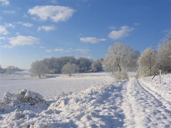 Paysages d'hiver