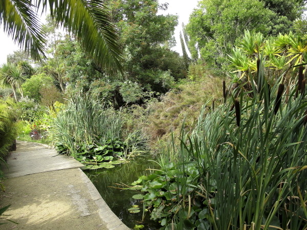 Jardin exotique Roscoff