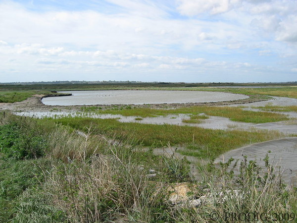 Plage de Basse Normandie (Manche)