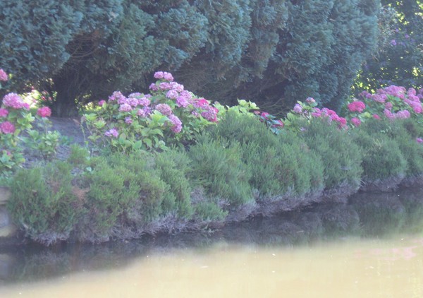 Amiens -Les hortillonnages