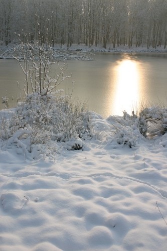 Paysages d'hiver