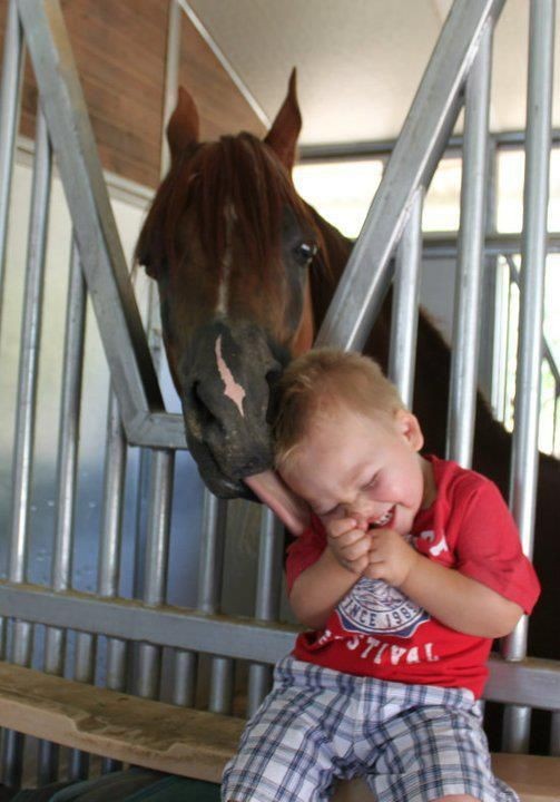 Enfant et leur animal