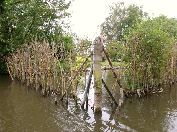 Amiens -Les hortillonnages