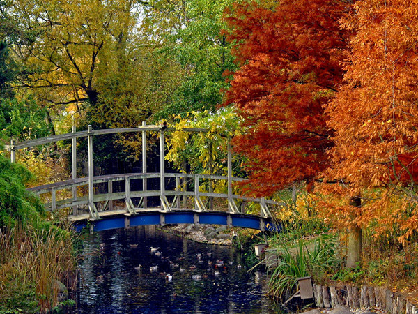 Paysage d'automne