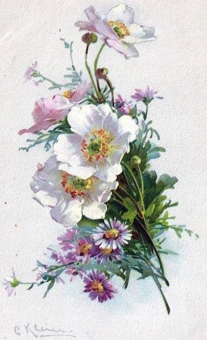 Fleurs de Catherine Klein