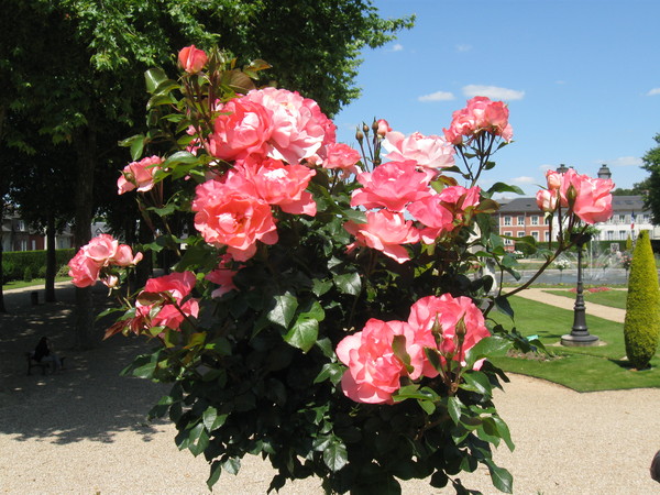 Lisieux-Les Jardins de L'Evêché 