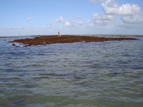 Plage de Basse Normandie (Manche)